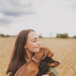 Aparthotel Arrels d'Empordà ****